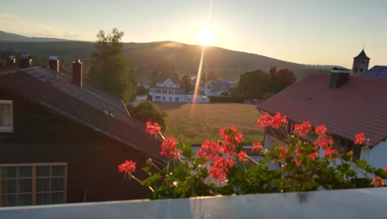 Haus Haidweg - Ferienwohnungen in Haidmühle im Dreiländereck DE-CZ-AT Exterior foto