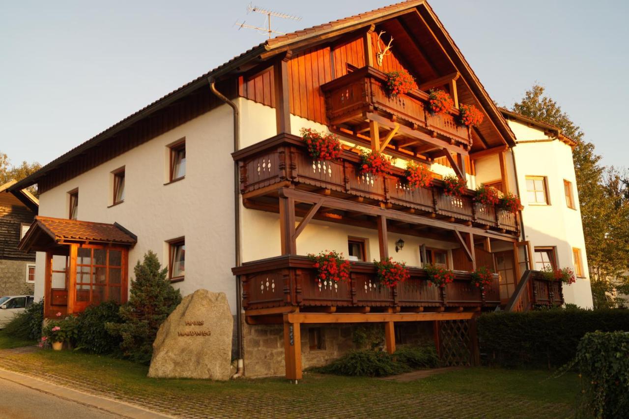 Haus Haidweg - Ferienwohnungen in Haidmühle im Dreiländereck DE-CZ-AT Exterior foto